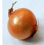 Onion-Foodchem